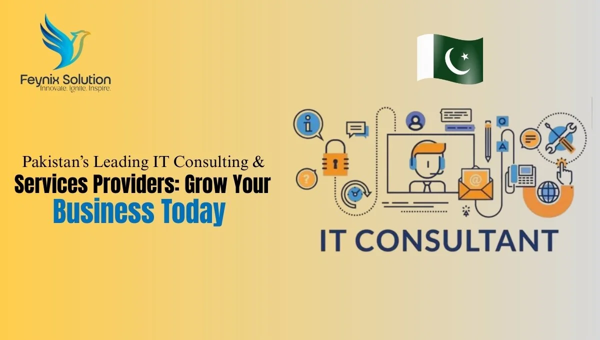 IT Consulting & Services