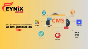 CMS Development For Small Business