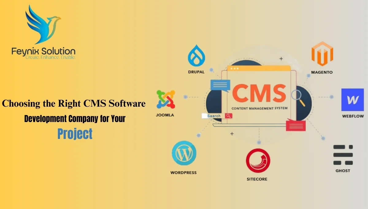 CMS Software Development company