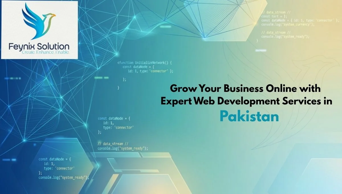 web development services in Pakistan