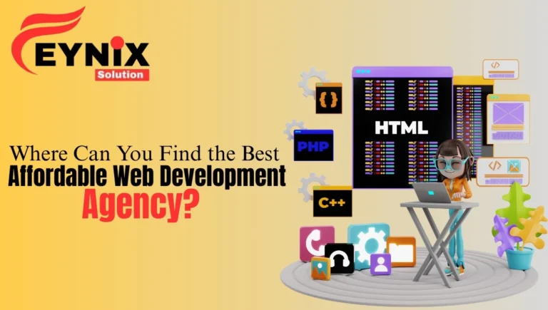Affordable Web Development Agency