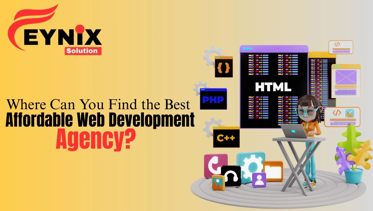 Affordable Web Development Agency