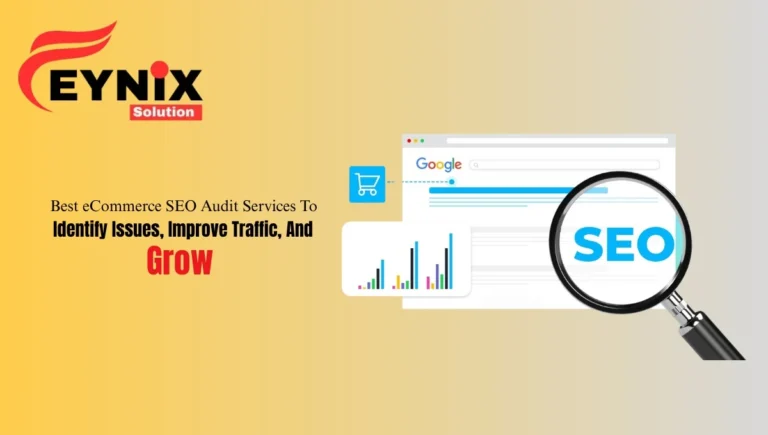 ecommerce seo audit services​