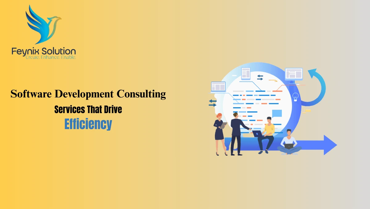 software development consulting services
