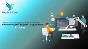 Bespoke Web Development Process in Pakistan
