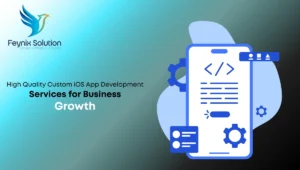 High Quality Custom iOS App Development Services